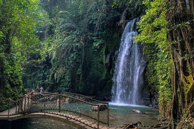 All Inclusive of Ubud Top Attraction - Ubud in one day: why this route works