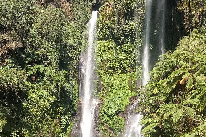 All Inclusive Sekumpul Waterfall Trekking , Handara Gate & Temple - Who this tour suits (and who should think twice)