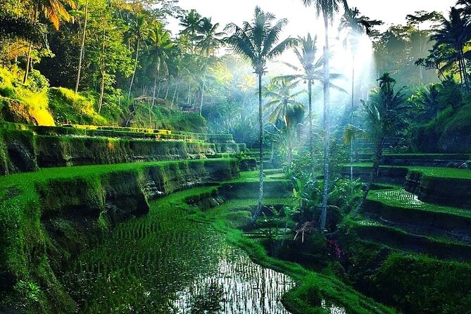 [All Inclusive] The Soul of Bali: Temples, Art & Traditions Tour - Stop 2: Ubud Traditional Art Market for Real Shopping Time