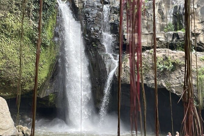 All Inclusive Ubud Cultural and Natural Highlights Tour - Entering Ubud Without the Big-Group Rush