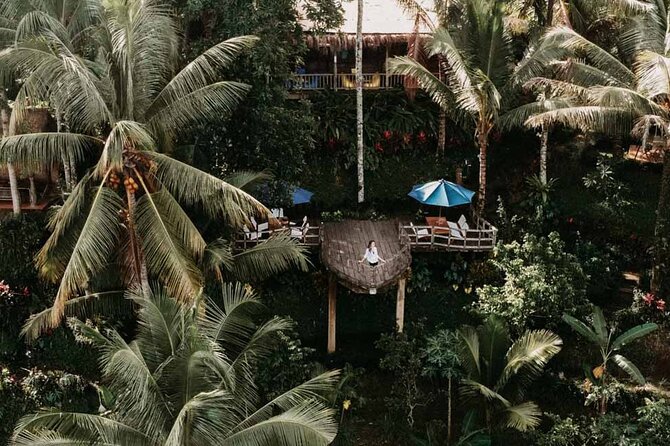 All-Inclusive Ubud Private Tour - Stop 4: Ubud swing at D Alas Warung, plus lunch with jungle views