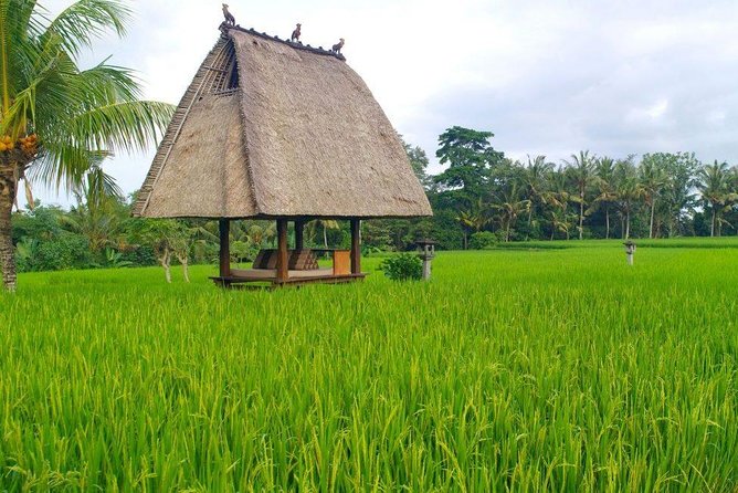 All-Inclusive Ubud Private Tour - Stop 6: Tegenungan Waterfall for a final, loud nature moment