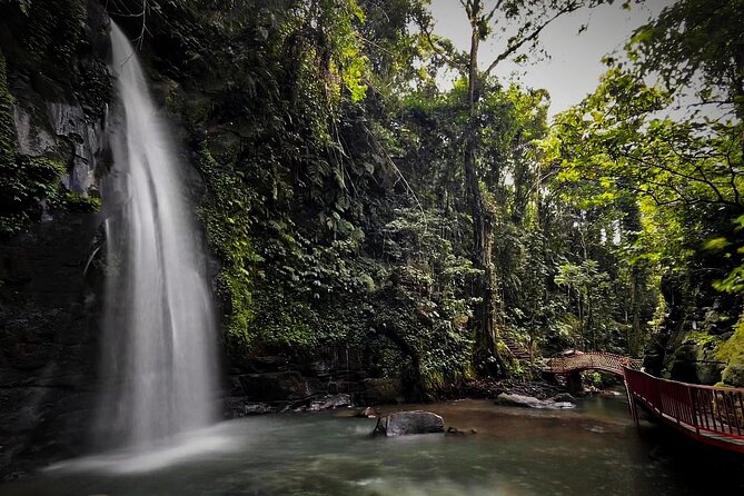 All-Inclusive Ubud's Wonder Day Tour - Tirta Empul Temple: The Holy Springs Purification Ritual