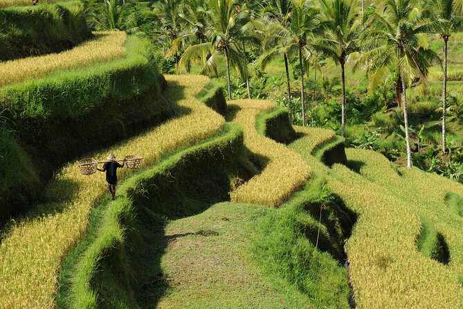 All-Inclusive Ubud's Wonder Day Tour - Tibumana Waterfall: Quiet Green and Gentle Cascades