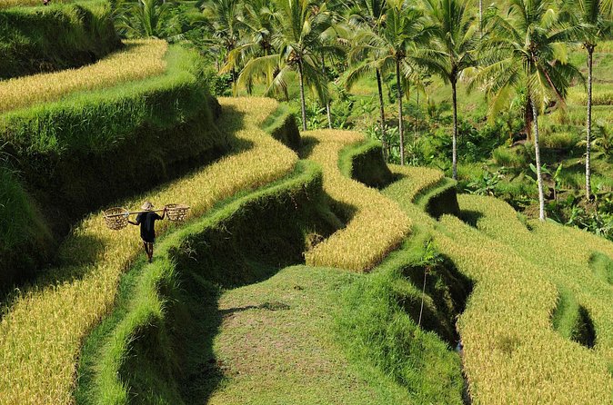 All-Inclusive Ubud's Wonder Day Tour - Kanto Lampo Waterfall: Tiered Rocks and Photogenic Waterfalls