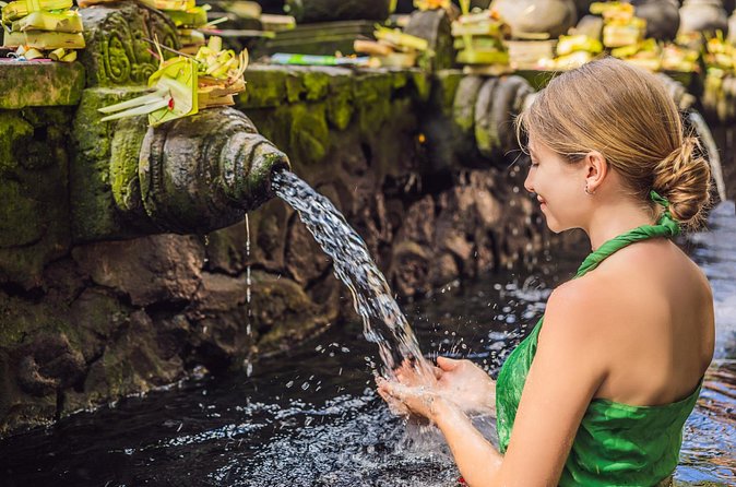 All-Inclusive Ubud's Wonder Day Tour - Price and Value: What $29 Actually Buys You