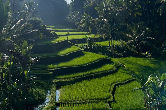 All Inclusive Ubud Tour - Private Pickup and Transport: Less Hassle, More Time Watching