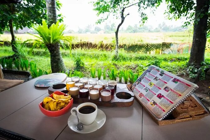 All Inclusives Bali Private Tour Temples Palaces and Nature - Price and logistics: is $113 fair for a private 12-hour day?