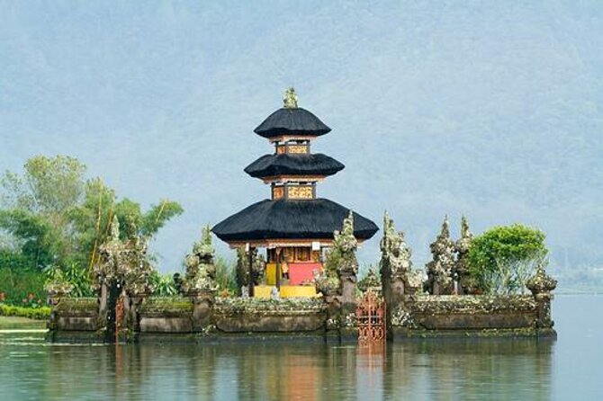 Amazing Bali Dolphin Watching Trip Experience - Key things to know before you go