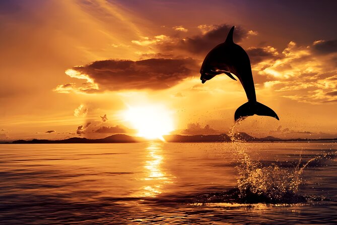 Amazing Bali Dolphin Watching Trip Experience - The 3:00am start that makes Lovina work