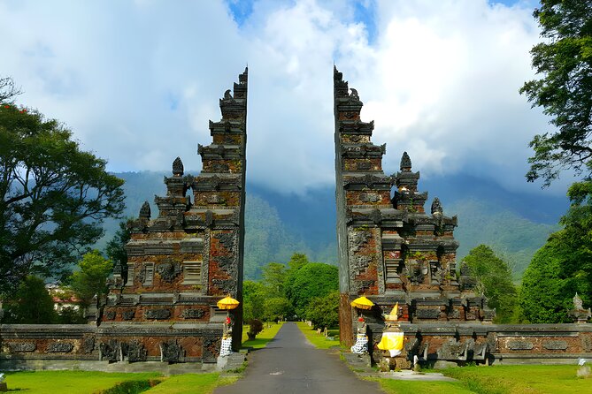 Amazing Bali Dolphin Watching Trip Experience - Price and value: is $80 fair for dolphins plus Bedugul stops?