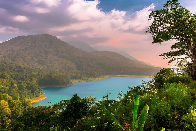 Amazing Bali Dolphin Watching Trip Experience - Tamblingan Lake in the Bedugul farming highlands