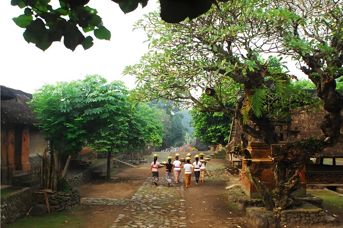 Amazing Private East Bali Full-Day Tour - Tenganan Ancient Village: Symmetry, Traditional Village Layout, and Culture