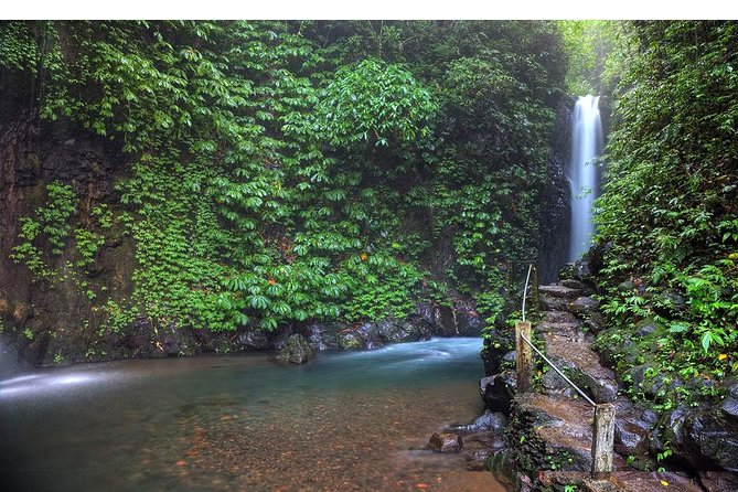 Amazing Private Tours: Dolphins Lovina and Gitgit Waterfall include Lunch - Lunch Included, Then Candikuning Market for Real-Life Color
