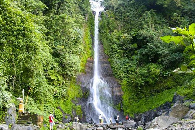 Amazing Private Tours: Dolphins Lovina and Gitgit Waterfall include Lunch - Who This Tour Fits Best (And Who Might Skip It)