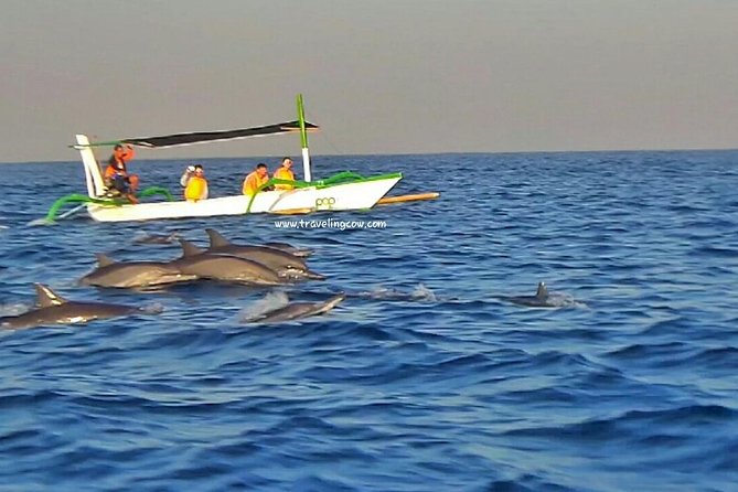 Amazing Private Tours: Dolphins Lovina and Gitgit Waterfall include Lunch - Ulundanu Beratan Temple and a Garden-Style Pause