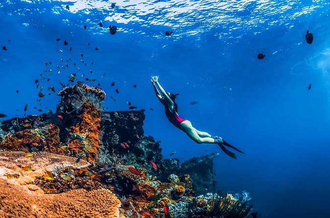 Amed Bali Snorkelling: Japanese Shipwreck & Vienna Beach Tour - Vienna Beach: calmer water and a change of scenery