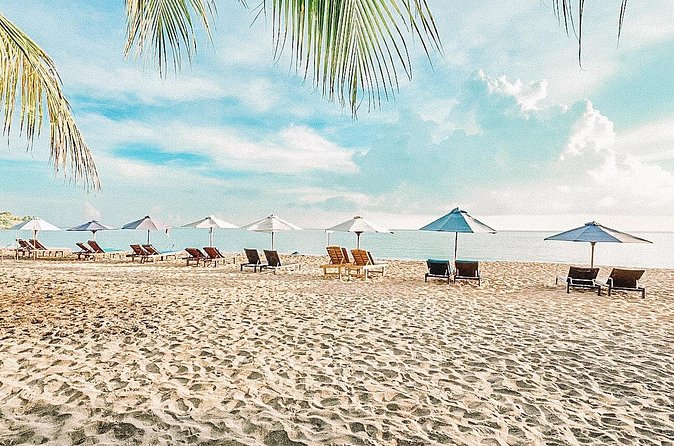 Amed Bali Snorkelling: Japanese Shipwreck & Vienna Beach Tour - Gear, turtles, and the rules that keep snorkeling fun