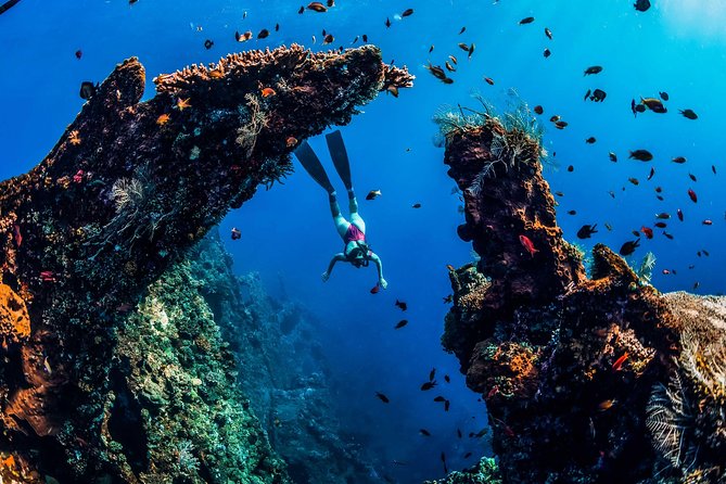 Amed Bali Snorkelling: Japanese Shipwreck & Vienna Beach Tour - How long will it take: 3 hours vs 8 hours depends on your base