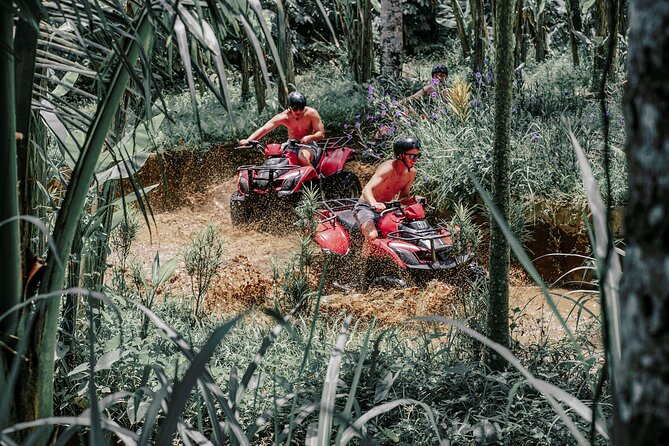 ATV Quad Bike Bali with Waterfall Gorilla Cave and Lunch - Single vs tandem ATV: who can ride what