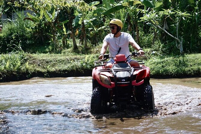 ATV Quad bike tour with Rice terraces & temple - Tegalalang rice terraces: learning the farmers’ system, not just taking photos