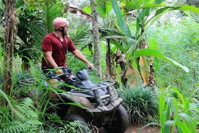 ATV Quad Bike with Kintamani Volcano Tour - All Inclusive - Kintamani Volcano and Lake Batur: The Cold-Air Payoff