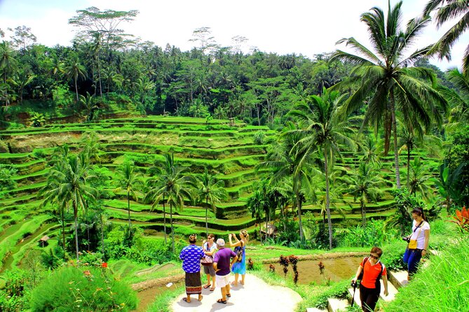 ATV Quad Bike with Kintamani Volcano Tour - All Inclusive - Private Transport, English-Speaking Driver, and the All-Inclusive Value