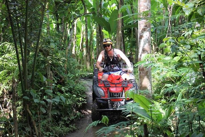 ATV Tour with Monkey Forest Experience in Bali - Sangeh Monkey Forest: long-tailed macaques up close