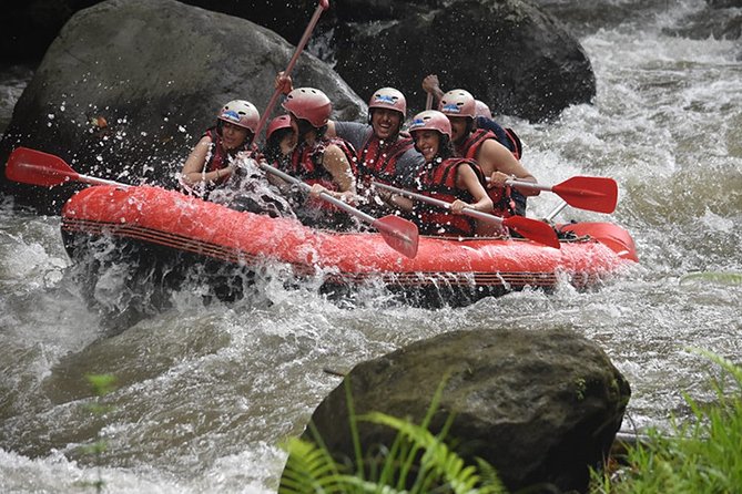 Ayung Rafting Ubud (Include Lunch & Return Transportation) - Key Highlights (What You’ll Feel in Real Life)