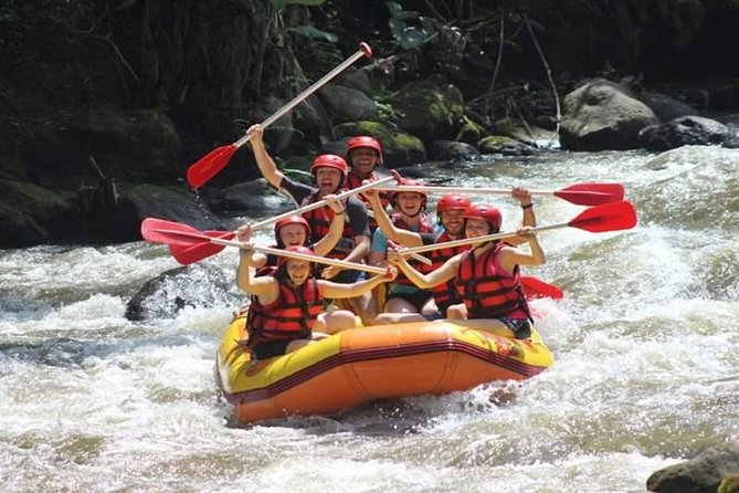 Ayung River Half-Day White Water Rafting Bali in Ubud - On the water: what a guided shared-boat run feels like