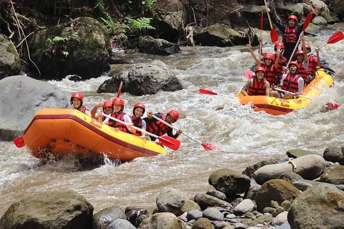 Ayung River Half-Day White Water Rafting Bali in Ubud - Hotel pickup and drop-off: convenience you’ll notice later