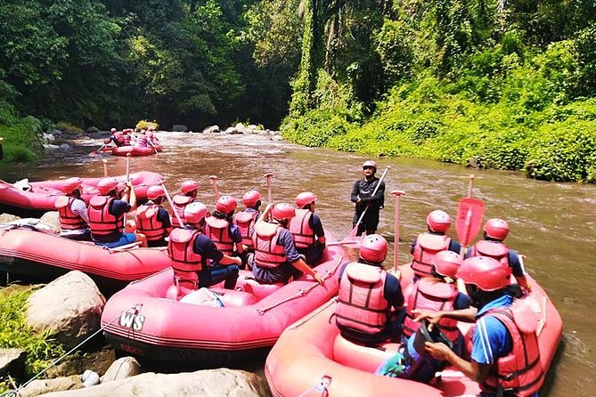 Ayung River Half-Day White Water Rafting Bali in Ubud - Price and value: why $28 can be a good deal in Ubud