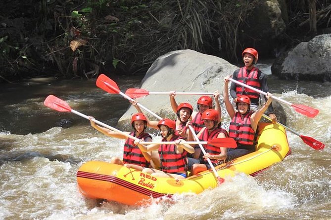 Ayung River Half-Day White Water Rafting Bali in Ubud - Guides that shape the experience: why the human side matters