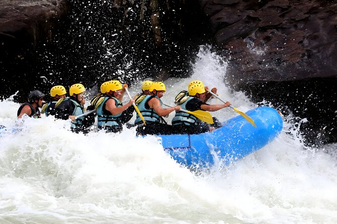 Ayung River Rafting - Ubud Best White Water Rafting - Wildlife and scenery: Balinese rainforest plus rice field views