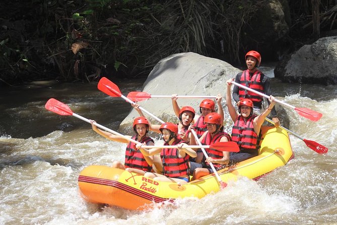 Ayung River - White Water Rafting Bali - Key highlights worth your attention