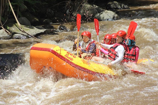 Ayung River - White Water Rafting Bali - Two Hours on the Water: Grade II–III Rapids and the Views