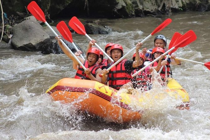 Ayung River - White Water Rafting Bali - Small-Group Rafting: What a Max of 6 Changes