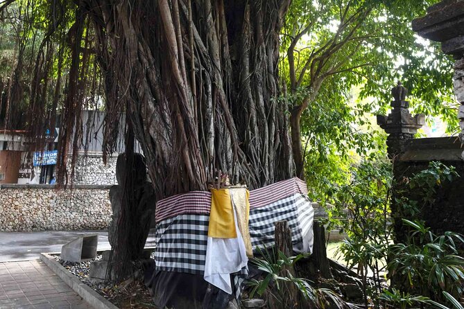 Backlanes and Hidden Sites: A Self-Guided Audio Tour in Seminyak - The Property-Law Explanation: Abandoned Villas and Vacant Lots