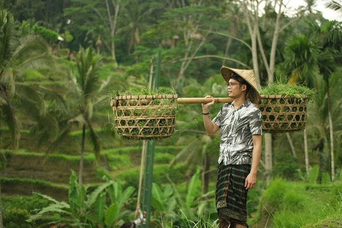 Bali 2 Days Package Nusa Penida and Ubud Tour with All Inclusive - Timing, Comfort, and the Reality of Rough Roads