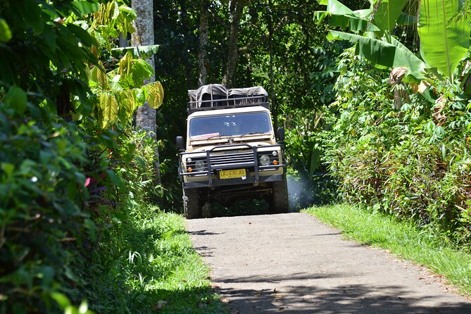 Bali 4WD Adventure WakaLand UNESCO Jatiluwih Trip in Bali Outback - Stop 2: Jatiluwih UNESCO Rice Terraces and the Subak System