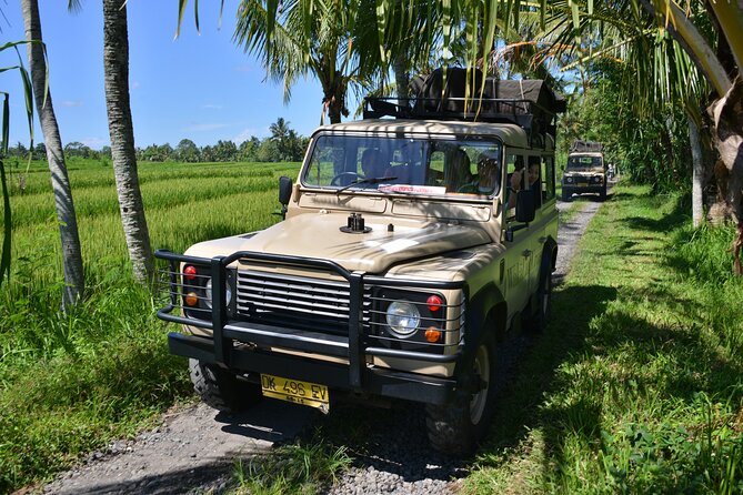 Bali 4WD Adventure WakaLand UNESCO Jatiluwih Trip in Bali Outback - Stop 3: Coffee, Vanilla, Cocoa, and Tea on the Way Up