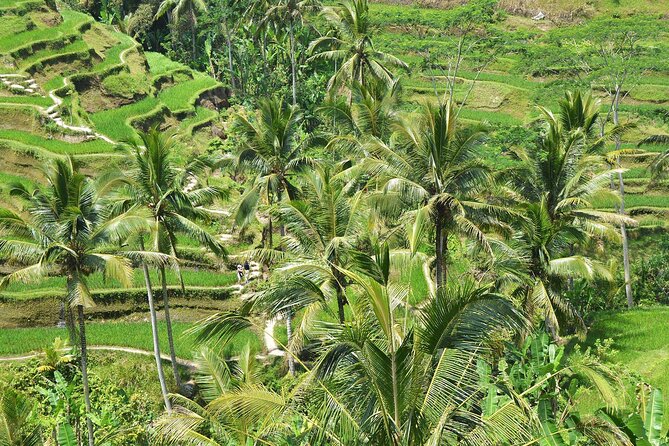 Bali Airport Arrival Transfer and Private Car Charter Combo - A realistic way to build your own Bali day with this driver