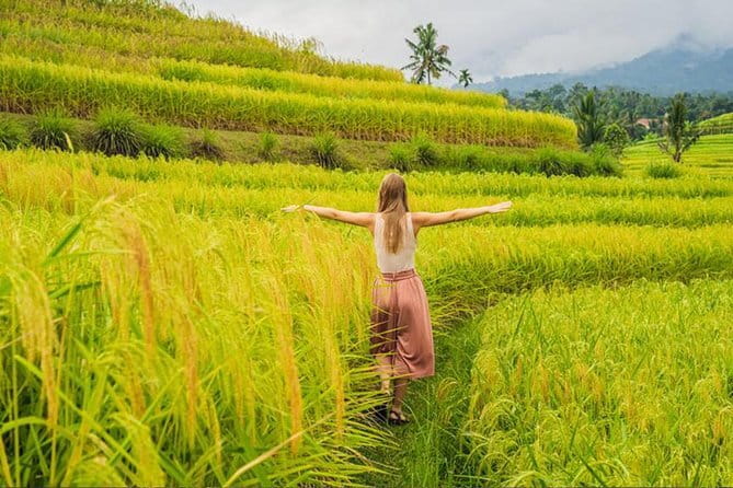Bali Airport from or to Seminyak/Canggu/Sanur/NusaDua/Uluwatu - Communication that prevents last-minute stress