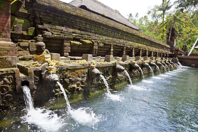 Bali All-Inclusive: Ubud Tour with Entrance Ticket and Lunch Included - Lunch at Tegalalang: Your Break With a View