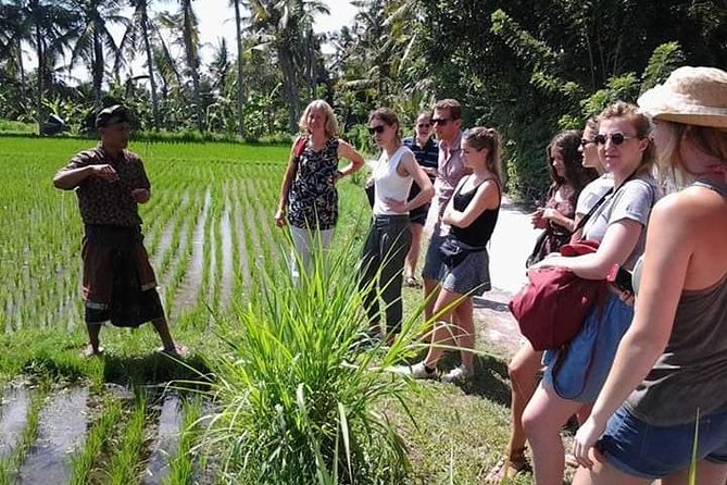 Bali Amazing Cooking Class - Who should book this Bali Amazing Cooking Class in Ubud