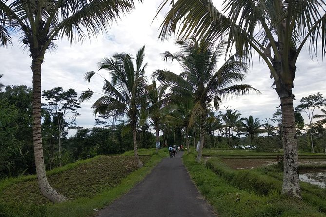 Bali Amazing Cycling Tour - Downhill From Kintamani to Ubud: Why This Route Works