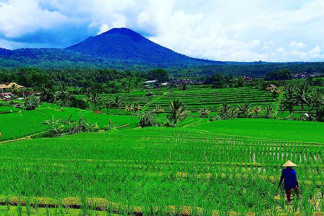 Bali Ancient Temples Tour - Stop 1: Taman Ayun Temple’s Royal Roots (What to Look For)
