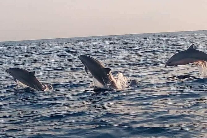 Bali and Lovina with Sunrise Dolphin Tour and Snorkeling - Key Highlights You’ll Actually Care About