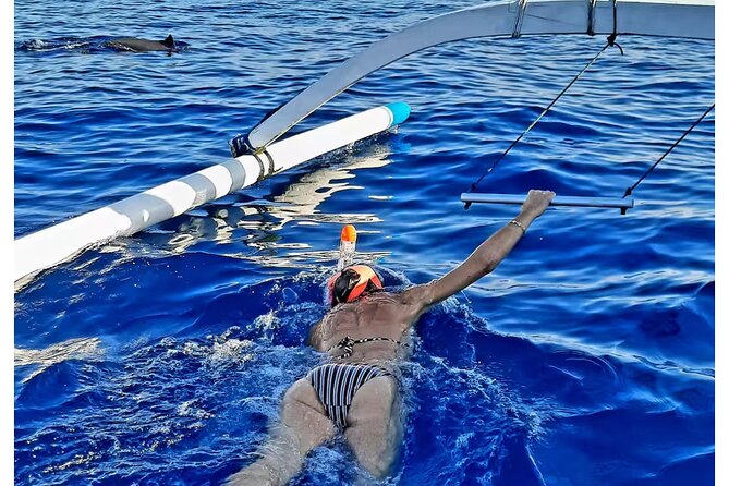 Bali and Lovina with Sunrise Dolphin Tour and Snorkeling - Getting There from Ubud and the Mentari Lovina Meeting Point