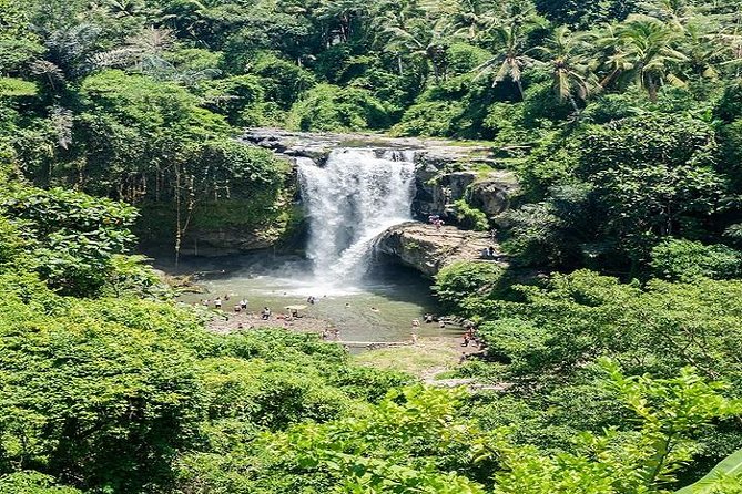 Bali Art Shopping and Culture Tour - Why This Bali Art Shopping Day Works (And For Who)